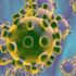 ملک بھر میں کرونا وائرس کے مثبت کیسز کی شرح 2.60 فیصد ہوگئی